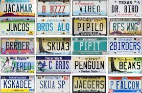 Select from premium license plate of the highest quality. Birdist Rule 43 Personalize Your License Plate With Something Birdy Audubon