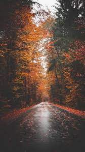 Fall collection autumn aesthetic orange aesthetic happy fall y'all of wallpaper pumpkin wallpaper fall wallpaper tumblr iphone. Autumn Aesthetic Wallpapers Wallpaper Cave