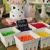 Amazon com farm party decoration photo prop farm photo backdrop. 1