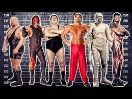 Wanted to do a comparison between my wwe 2k18 giant gonzalez (no face scan) created by danielbmesser511 vs the leading. Big Show And Akebono Have Their Official Wrestlemania Weigh Golectures Online Lectures