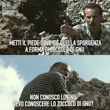 Https Encrypted Tbn0 Gstatic Com Images Q Tbn And9gctsb7kbf9kcdxxqih2xrmylxjjksmx77tphda Usqp Cau