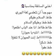 pin by dreamy ghada on funny cool words words funy memes