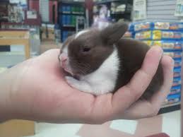 Better products mean better profits. Pin On Animals Animals Animals For Cassie