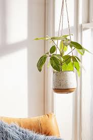 Speckled Ceramic Hanging Planter Hanging Planters Hanging Plants Hanging Plants Indoor