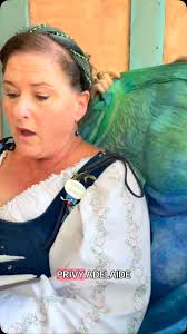 Basket Series- 2 Lady Sybill Alban. We can admit that a good many  delightful things are kept within her basket! . . . . . . . . . . . . . . .  . #thecourtrevelersmn #minnesotarenaissancefestival #mnrenaissancefestival  #renaissancefaire #renaissance ...