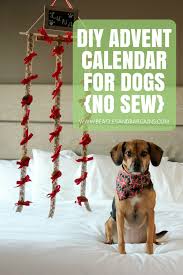 Diy Advent Calendar For Dogs No Sew Craft Tutorial Dog Advent Calendar Diy Advent Calendar Dog Crafts