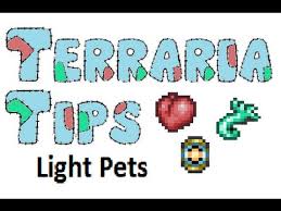 Terraria Tips Light Pets Youtube