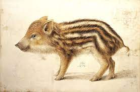 Created in 1515 dürer's woodcut shaped public perceptions of the creature for more than two centuries. Mariogallardo S Reviews Stumbleupon Animal Paintings Albrecht Durer Animal Art