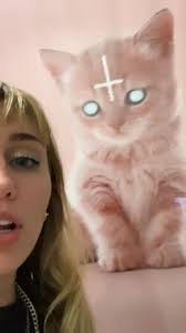Miley Cyrus Instagram Story