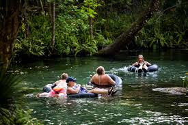 Primitive campsites on rock springs run and the wekiva river are accessible by canoe only. Rock Springs At Kelly Park Swimming And Tubing Areas Reopen Orlando Sentinel