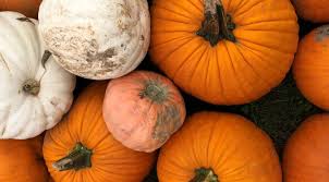 We're not just talking about costumes, we also mean your social media marketing. Halloween University Housing Conference Services