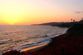 We did not find results for: Perfect Picnic Spots In Laguna Beach Visit Laguna Beach