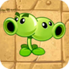 Bipitidora