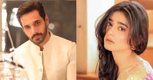 Wahaj Ali & Sehar Khan Upcoming Drama Details