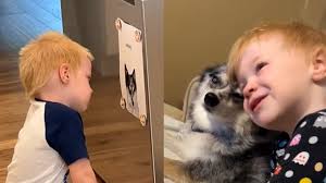 The Pistons Pulse is your go-to Detroit Pistons podcast for all the best  news, analysis, insights and opinions