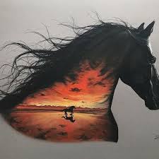 Pin By Grant Laughlin On Horses Horse Drawings Horse Wallpaper Beautiful Horses Photography