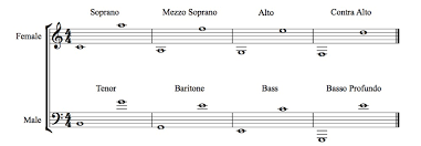 vocal range chart becomesingers com