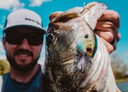 Donuts get you bass? 6 fish epidemic?? Tommy Biffle jig tips