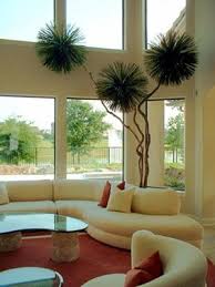 When The Greenery Goes A Lil Crazy That S A Good Thing Designed Plant Decor Indoor Large Indoor Plants Artificial Plants Decor