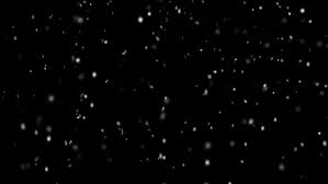 This image is great to use as an overlay. Snow Falling On A Black Background 2021542 Stock Video At Vecteezy