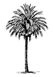 We did not find results for: Coloring Page Date Tree Free Printable Coloring Pages Img 17353