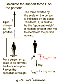 Elevator Problem Physics Mechanics Physics Humor Physics