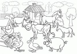 It has a variety of bright colors to use and show off your creativity. Old Macdonald Had A Farm Coloring Pages Page 1 Coloring Home