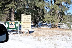 Flagstaff Snow Park Visit Tips Brie Brie Blooms Check the weather forecast and road conditions before you go. flagstaff snow park visit tips brie