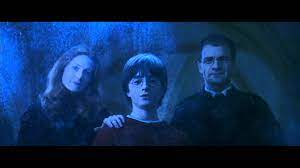Pettigrew betrayed the potters and gave up their location to lord voldemort. How Old Were James And Lily Potter When They Died Science Fiction Fantasy Stack Exchange