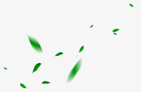 Download free falling leaves transparent png images. Falling Leaves Png Images Free Transparent Falling Leaves Download Kindpng