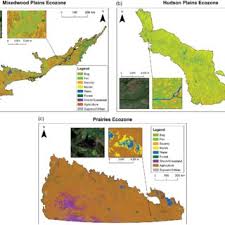 Make your own custom map of the world, united states, europe, and 50+ different maps. Pdf The Second Generation Canadian Wetland Inventory Map At 10 Meters Resolution Using Google Earth Engine