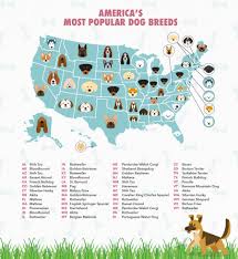 The Most Popular Dog Breeds By State Joybird