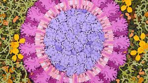 You can query these ids in genbank. Update A Bit Chaotic Christening Of New Coronavirus And Its Disease Name Create Confusion Science Aaas