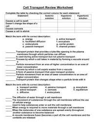 Image Result For Cell Membrane Worksheet Cell Transport Cell Membrane Biology Units