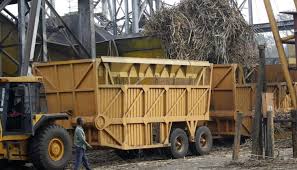 Jedes leben eine neue bestimmung. Mumias Sugar Creates Sticky Problem For Kcb Top Brass