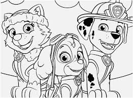 Huge collection of paw patrol printable colouring pages online for free. Free Paw Patrol Coloring Pages Portraits Everest Marshall And Skye Coloring Home