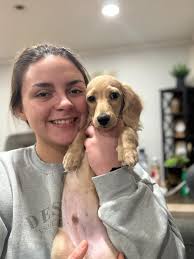 Say Hi to Thor my lil cream piebald from the boondachs!! So happy to be  part of the family.