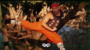Paramount, atc entretenimento, globo filmes sinopse: Critica O Shaolin Do Sertao Ate Que Diverte Mas Escorrega Nos Proprios Golpes Combo Infinito