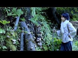 i planted shiitake mushrooms in the mountain liziqi channel youtube stuffed mushrooms shiitake starting a vegetable garden