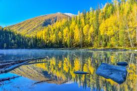 Kyrgyz woman hand weaving landscape xinjiang uyghur autono. Photos For Free Xinjiang China North Xinjiang Scenery To The Desktop