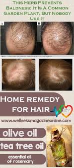 Rosemary essential oil is a widely used natural ingredient to stimulate hair regrowth. Pin On Hair Loss