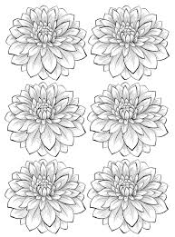 Click the georgina or dahlia coloring pages to view printable version or color it online compatible with ipad and android tablets. Six Dahlia Flower Flowers Adult Coloring Pages