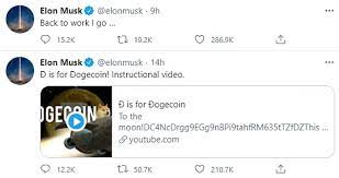 Dogecoin Is Pushed To File Excessive After Elon Musk S Tweets