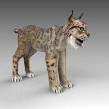 A Bobcat Or Lynx 3d Model Bobcat Lynx