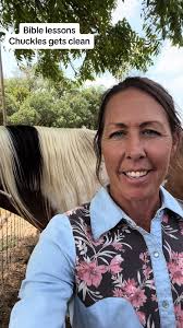 #creator #biblelessons #horselessons #jesus #painthorse