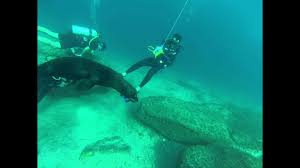 Scuba Dive With Sea Lion In Puerto Vallarta Youtube
