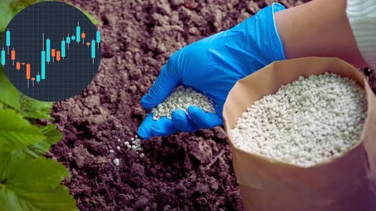 किसानों के लिए बड़ी खबर, रबी सीजन से पहले 4 लाख टन तक खाद मंगाएगा KRIBHCO – Money9live