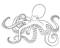 We did not find results for: Octopus Mit Hohen Details Hand Gezeichnet Doodle Ozeanischen Tier Auf Aquarellhintergrund Skizze Fur Tatowierung Plakat Druck T Shirt Im Zen Doodle Stil Vektor Lizenzfrei Nutzbare Vektorgrafiken Clip Arts Illustrationen Image 60337867