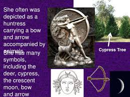 Artemis' symbols included a bow and arrow, a quiver and hunting knives and the deer and the cypress were sacred to her. Mythology Lesson 10 Diana Artemis