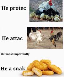 Chicken eating chicken nuggets meme. Chicken Nugget Memes Posts Facebook